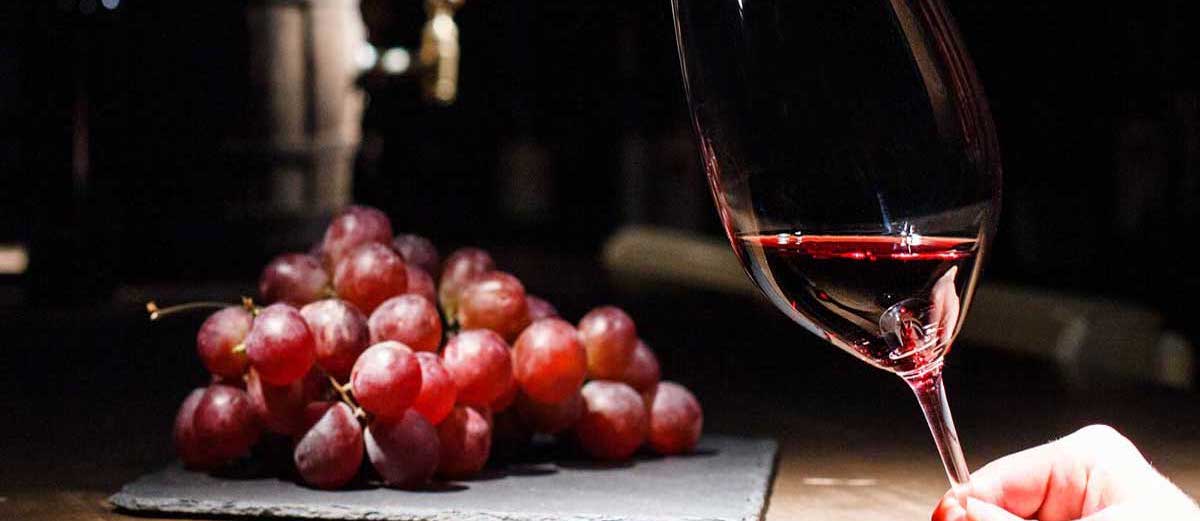 ¿Qué son y qué función tienen los taninos del vino?