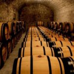 Bodega Dominio de Pingus Winery Ribera del Duero